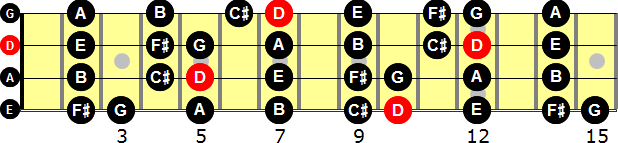 D Major  Bass Guitar Scale