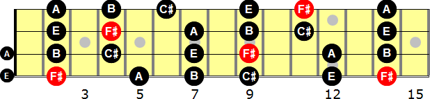 F-sharp Minor Pentatonic  Bass Guitar Scale